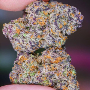 Photo for classified ad Granddaddy Purple