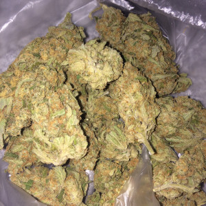 Photo for classified ad  *Green Crack Grade , AA  Skywalker OG Kush Grade::::::::A+  1 4135913193