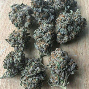 Photo for classified ad BLUE DREAM :20.98%