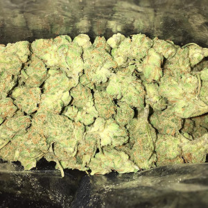 Photo for classified ad I BRING TO YOU TOP SHELF GRADE AA INDOOR GREENHOUSE STRAINS AT AFFORDABLE PRICES