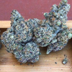 Photo for classified ad VERIFIED PLUG T.O.P SHELF STRAINS,SEEDS,JUST Wickr....louisegraham Whatsapp... +1 (512) 943-2586
