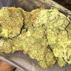 Photo for classified ad Top shelf Marijuana