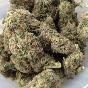 Photo for classified ad CONSISTENT STRAINS , OG KUSH , GELATO , GORILLA GLUE , BRUCE BANNER HIT : (413)591-3193