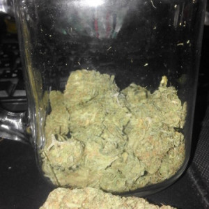 Photo for classified ad Posted on Feb 03 2021 Price: 150.00 Grade A++ Medical Cannabis Online